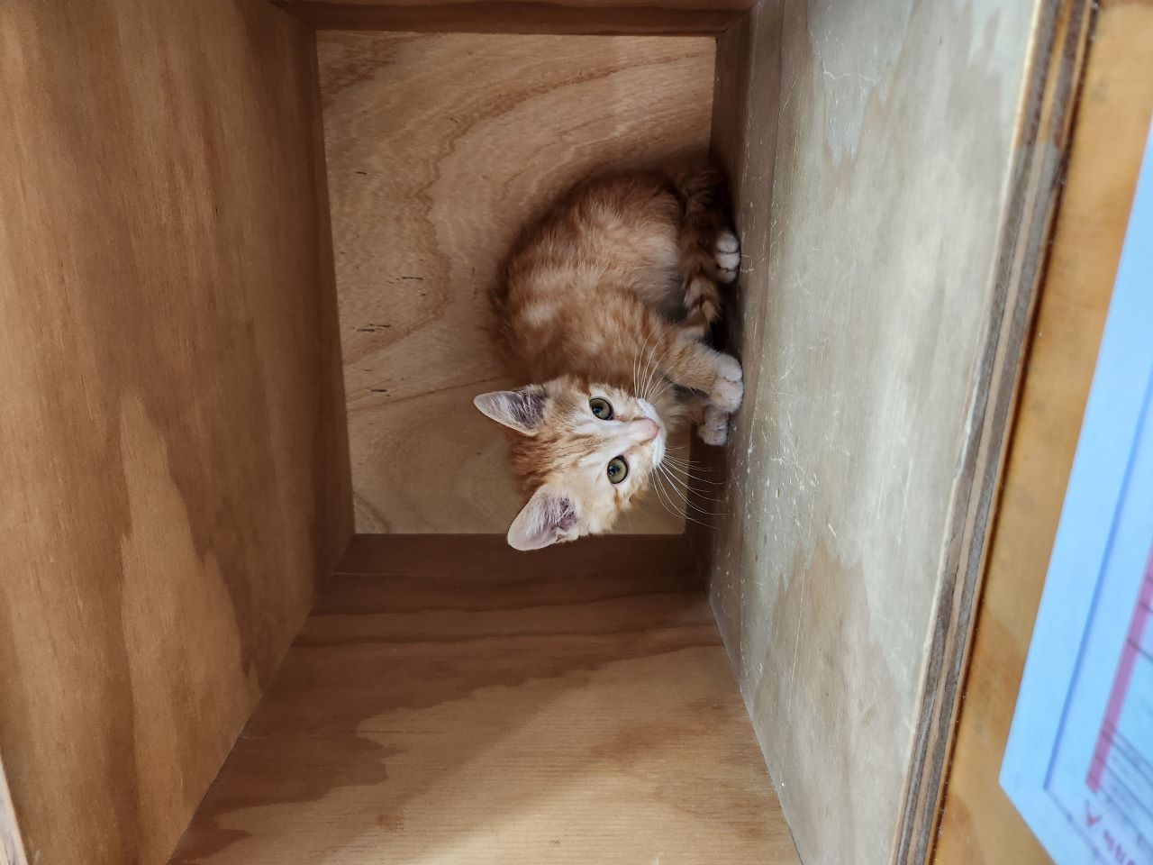 대구시수의사회(동산)_427341202400223