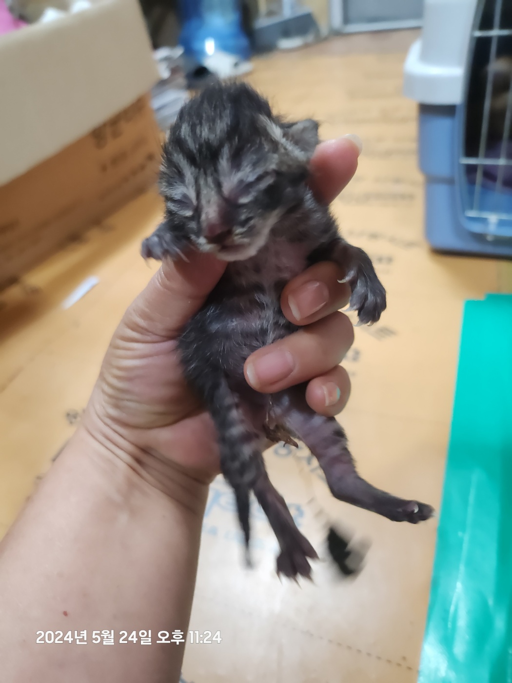 종료(자연사) 한국…