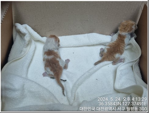 종료(자연사) 한국…