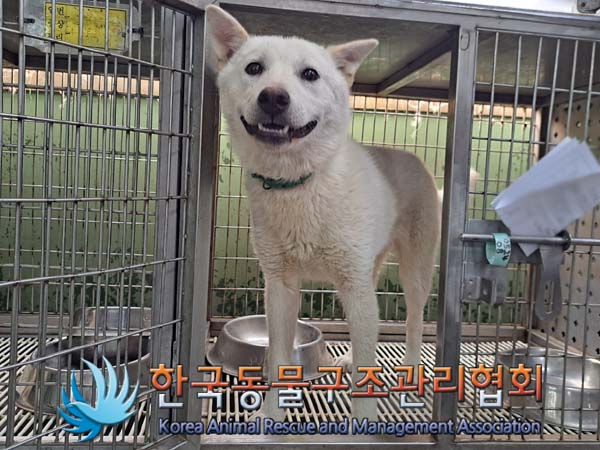 종료(안락사) 믹스…