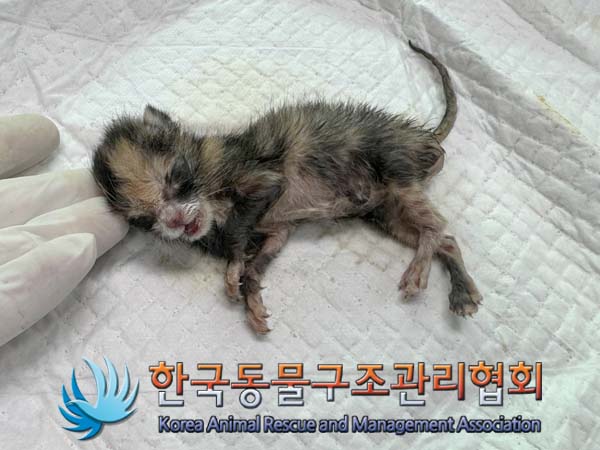 종료(자연사) 한국…