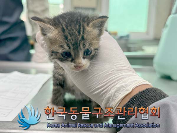 종료(자연사) 한국…