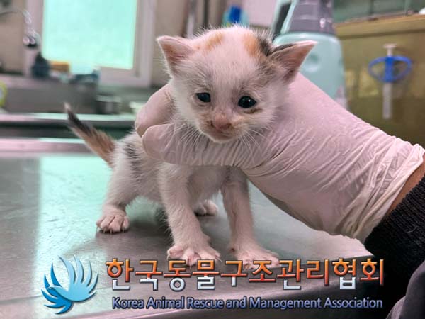 종료(자연사) 한국…
