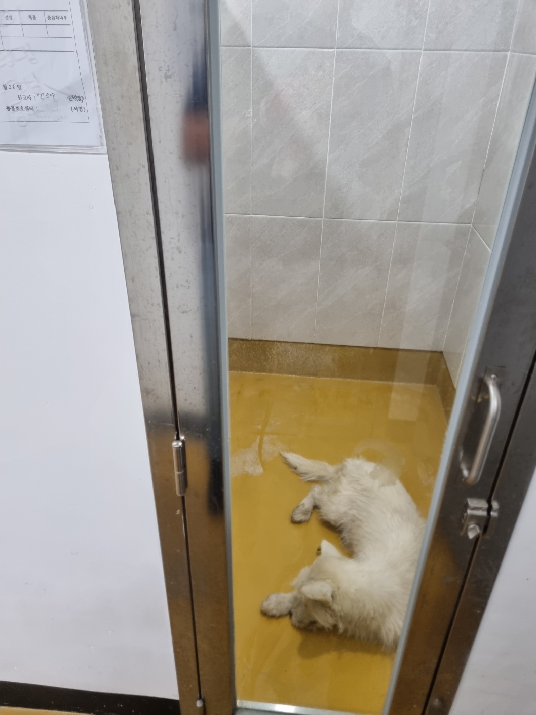 천안시 동물보호센터_444449202401202