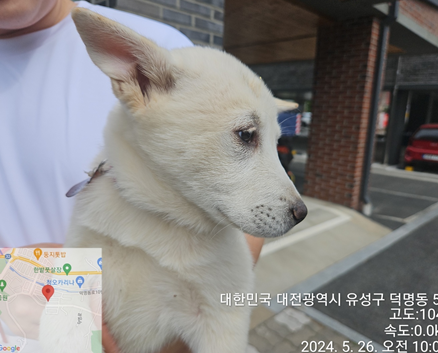 대전동물보호센터_430367202400391