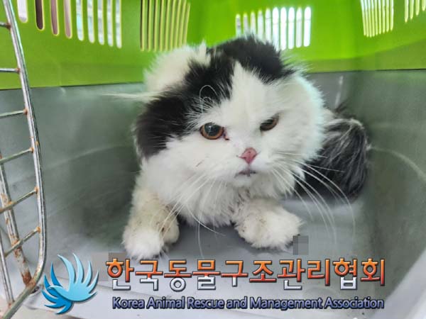 종료(반환) 스코티…