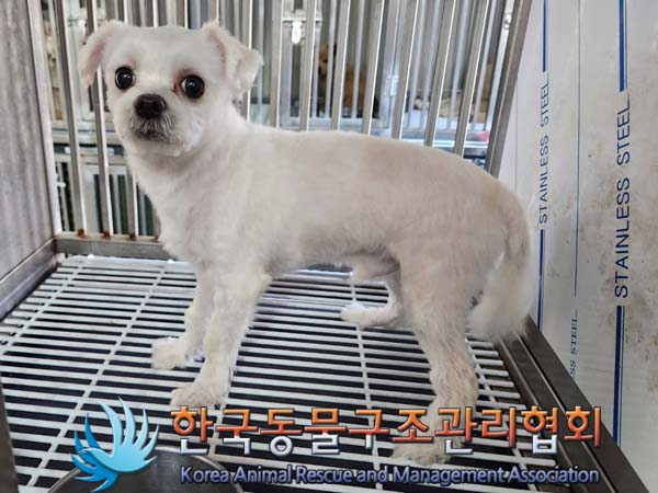 한국동물구조관리협회_411305202400322