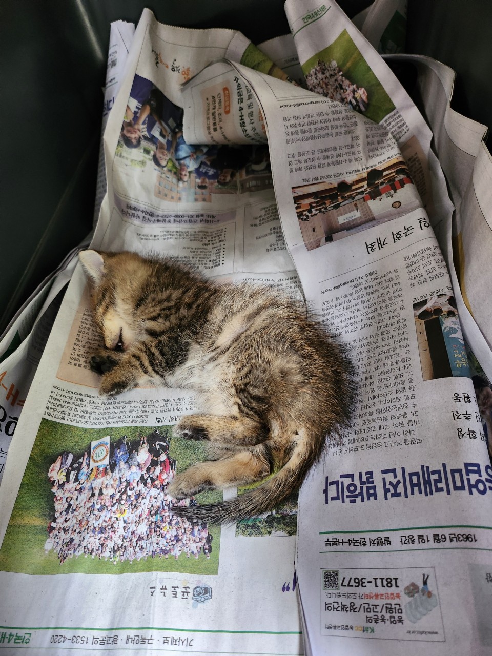 종료(자연사) 한국…