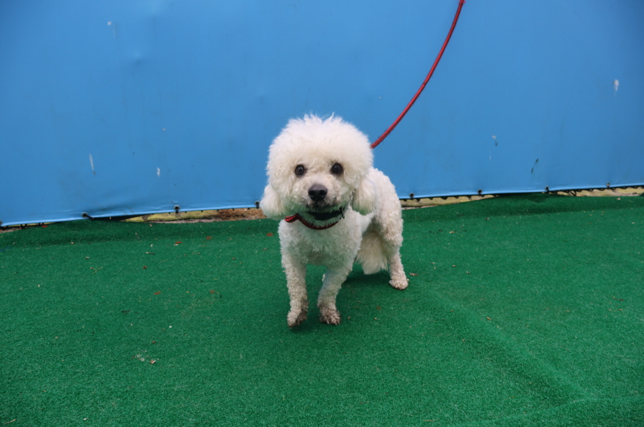 제주 동물보호센터_450650202401602