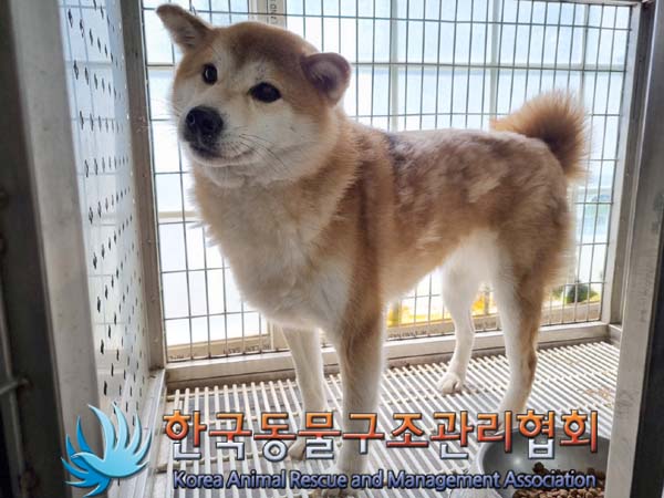 종료(반환) 시바의…