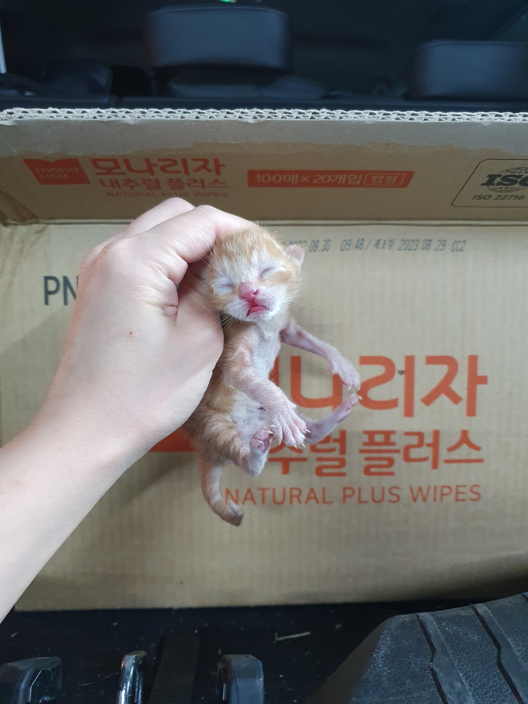 종료(자연사) 한국…