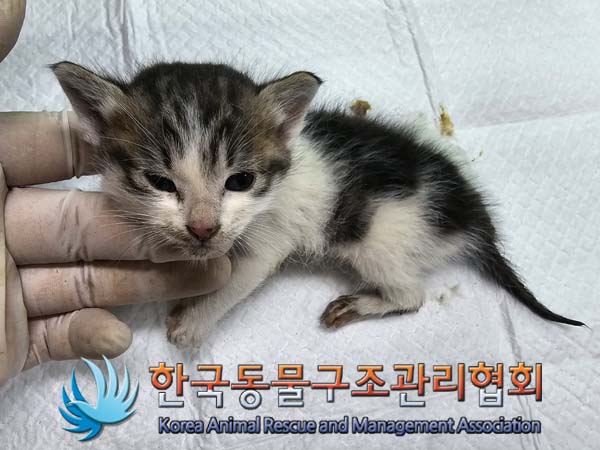 종료(자연사) 한국…