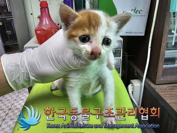 종료(자연사) 한국…