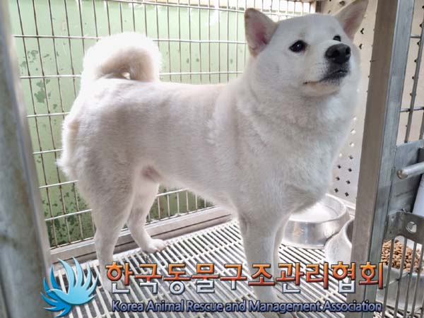 종료(반환) 시바의…