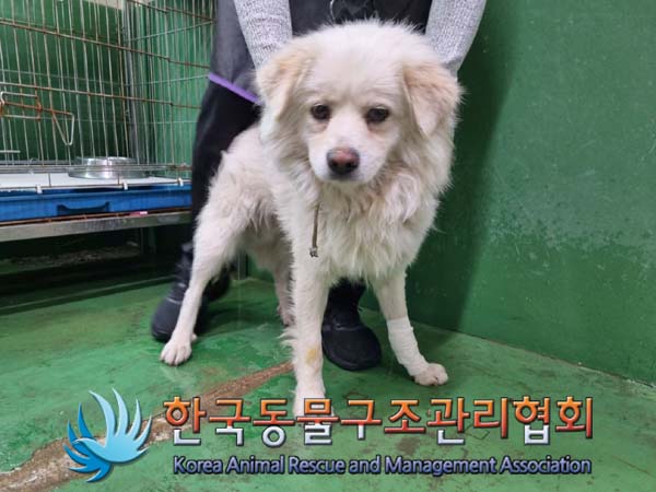 종료(안락사) 믹스…