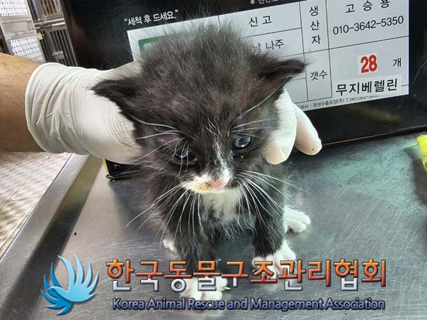종료(자연사) 한국…