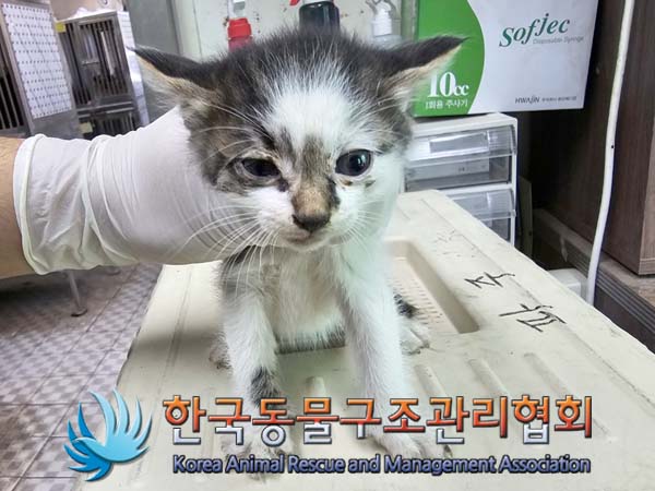 종료(자연사) 한국…