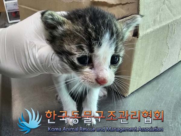 종료(자연사) 한국…