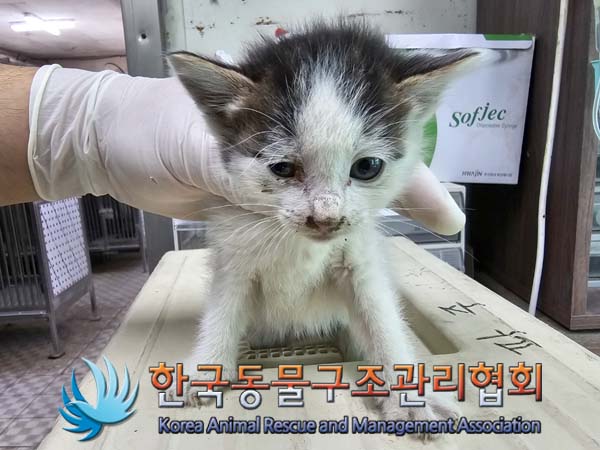 종료(자연사) 한국…