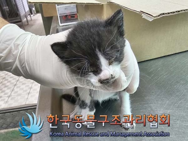 종료(자연사) 한국…