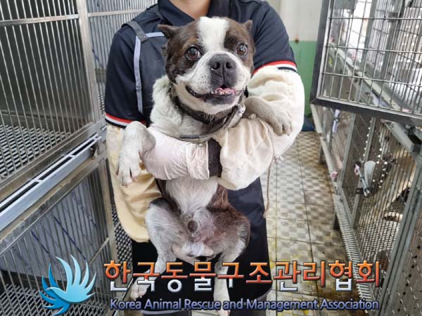 종료(반환) 보스턴…