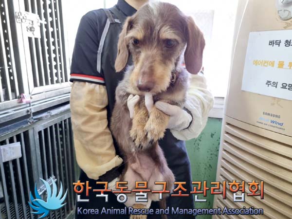 종료(안락사) 믹스…