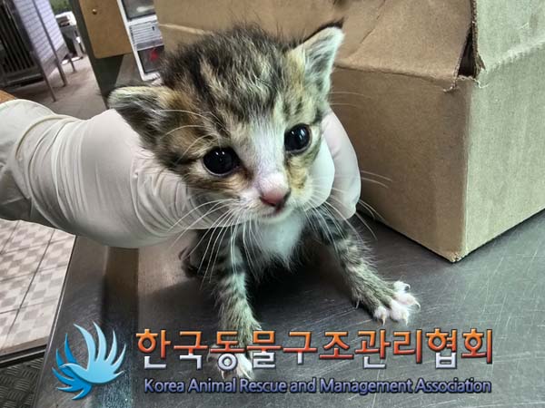 종료(자연사) 한국…