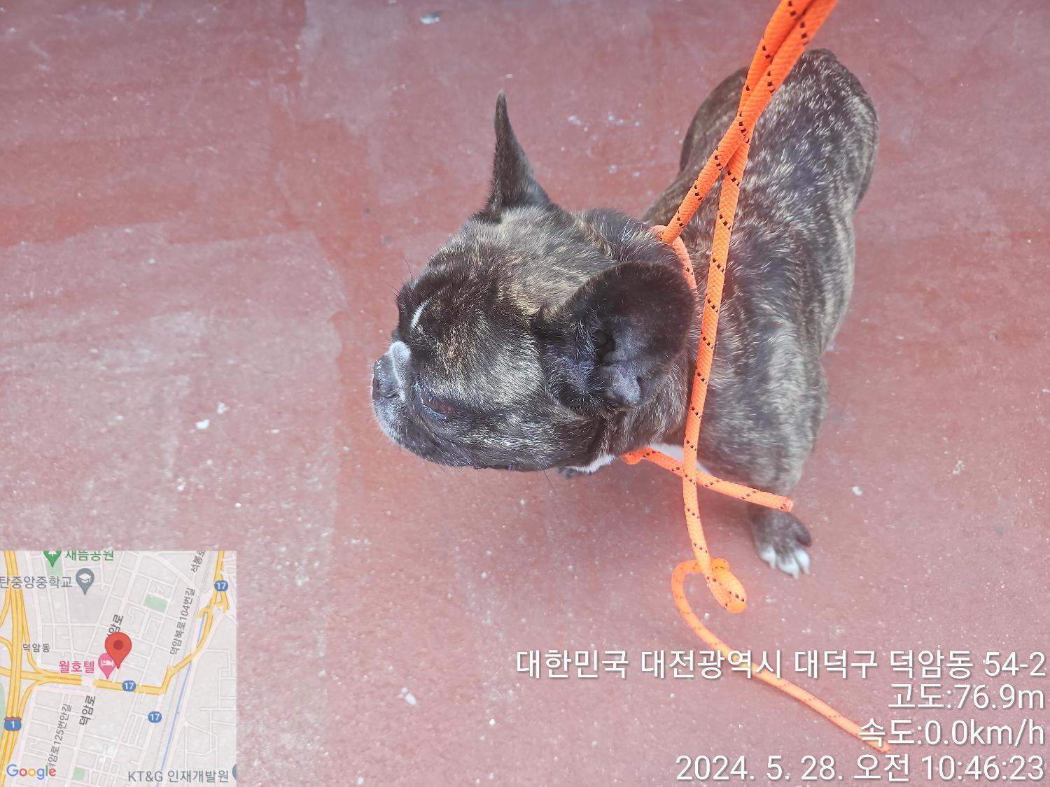 종료(반환) 프렌치…