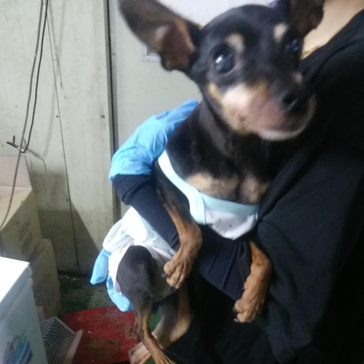 종료(반환) 미니어…