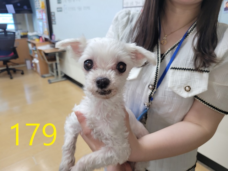 신영재동물병원_428355202400335