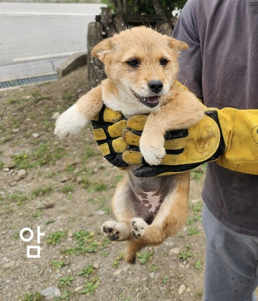 화천군농업기술센터_442431202400167