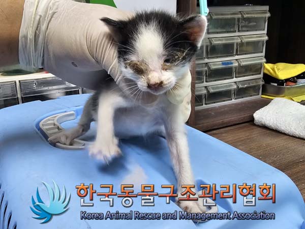 종료(자연사) 한국…