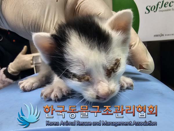 종료(자연사) 한국…