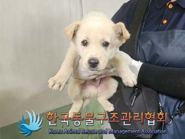 한국동물구조관리협회_441406202400923