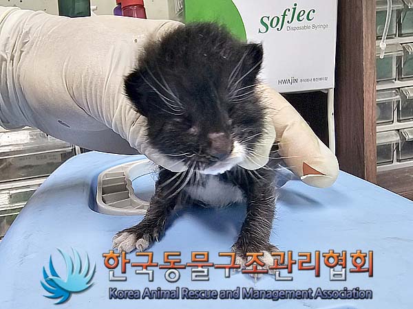 종료(자연사) 한국…