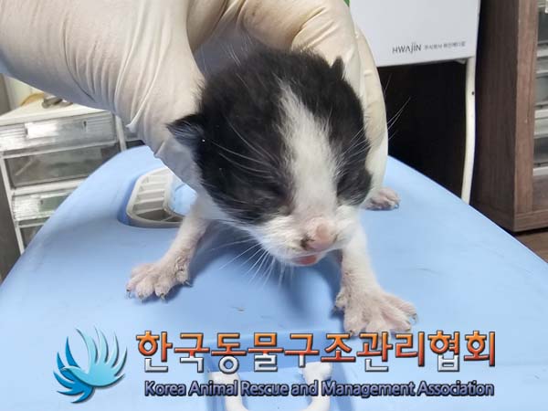 종료(자연사) 한국…