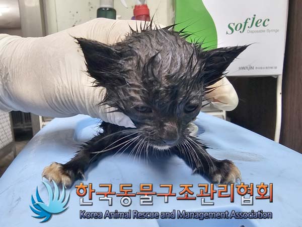 종료(자연사) 한국…