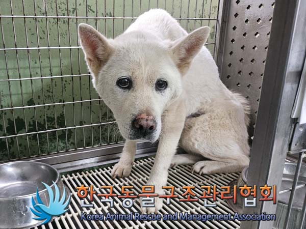한국동물구조관리협회_441414202400360
