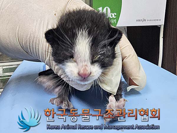 종료(자연사) 한국…