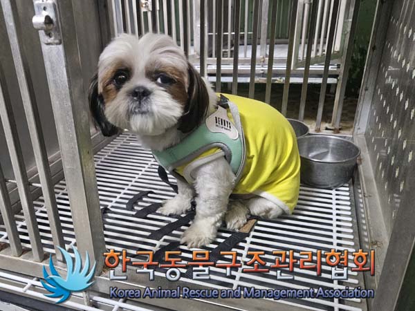 종료(반환) 시츄의…