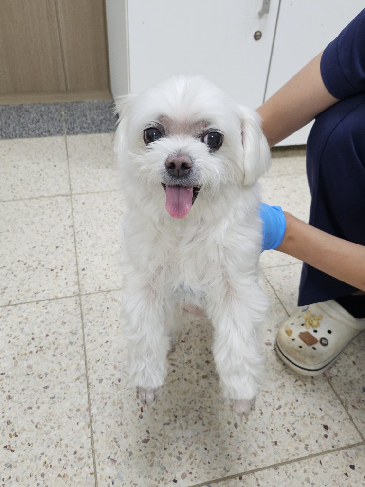 반려동물보호센터_443571202401695