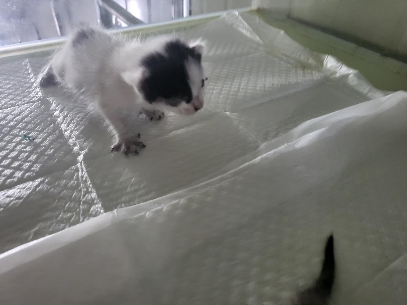 종료(자연사) 한국…