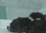 종료(자연사) 한국…