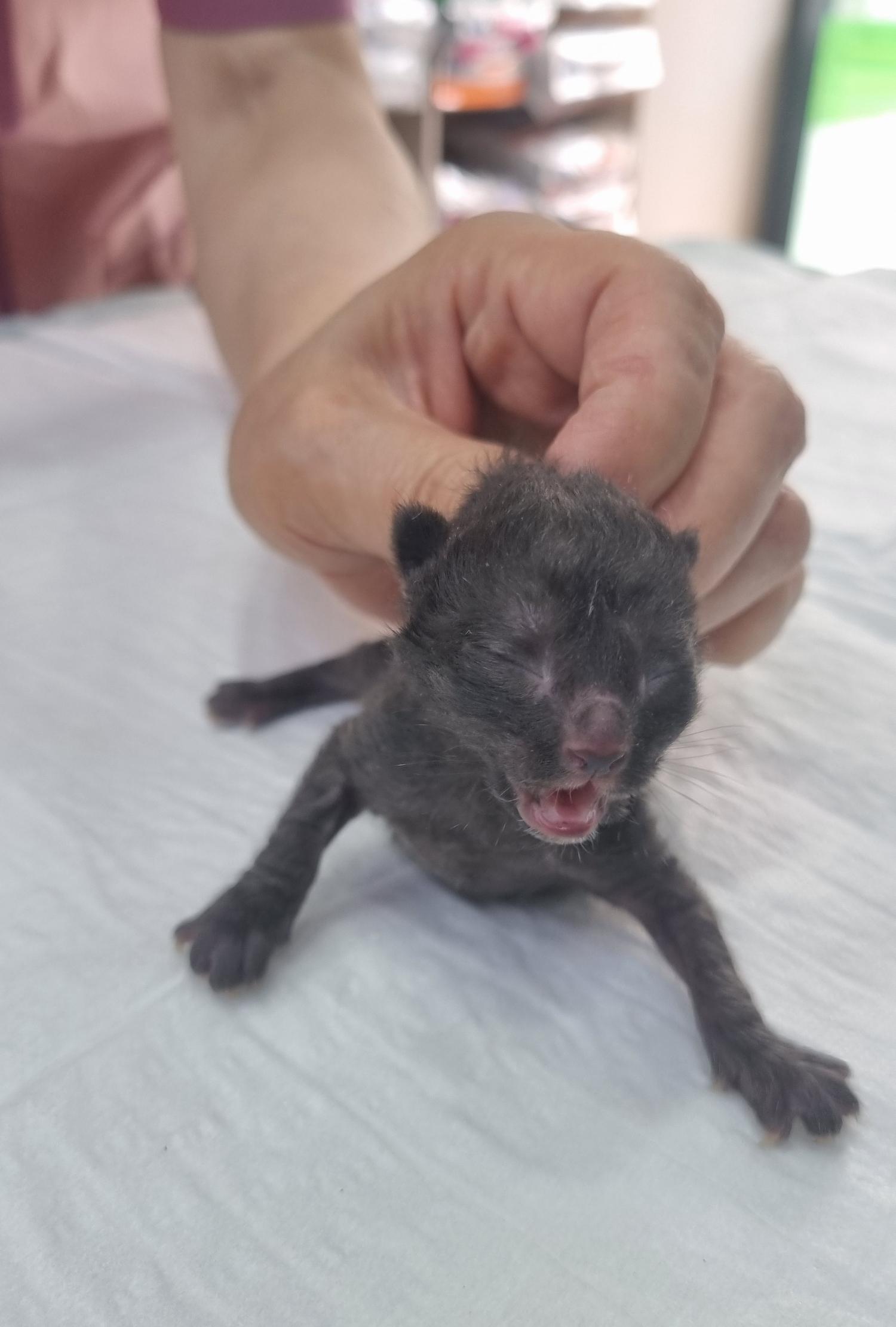 종료(자연사) 한국…