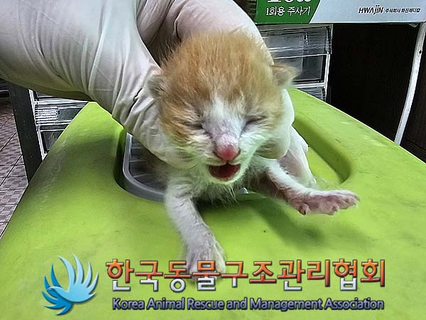 종료(자연사) 한국…