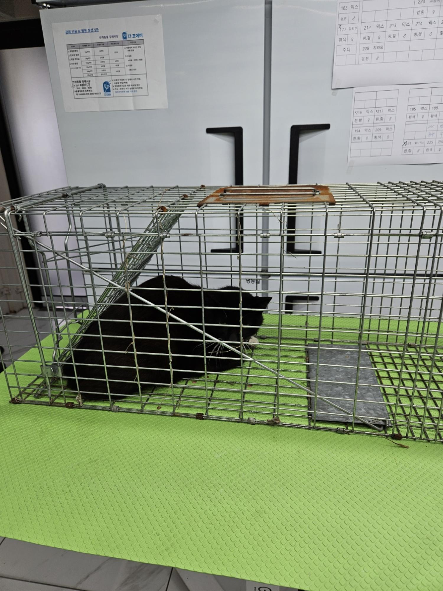 신공항동물병원_428349202400446