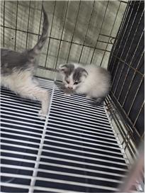 종료(자연사) 한국…