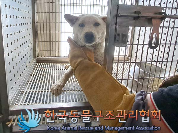 한국동물구조관리협회_441404202400327