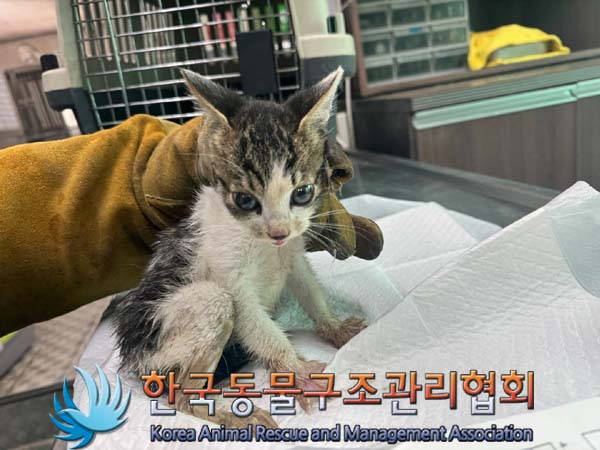 종료(자연사) 한국…