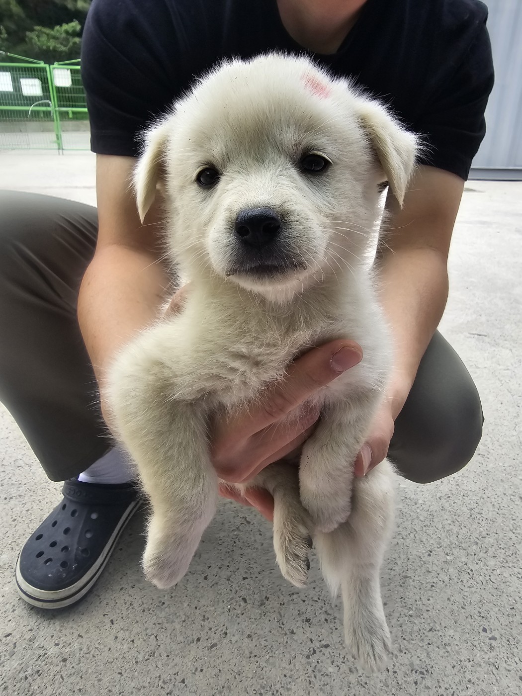 밀양시 동물보호센터_448536202400983